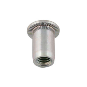 Neet mutter M10 20tk