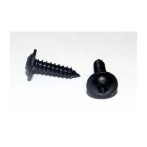 Kruvi 16x4,2mm torx must